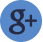 icon google